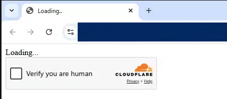 Browser screenshot showing a Cloudflare-branded human verification check with the address hidden